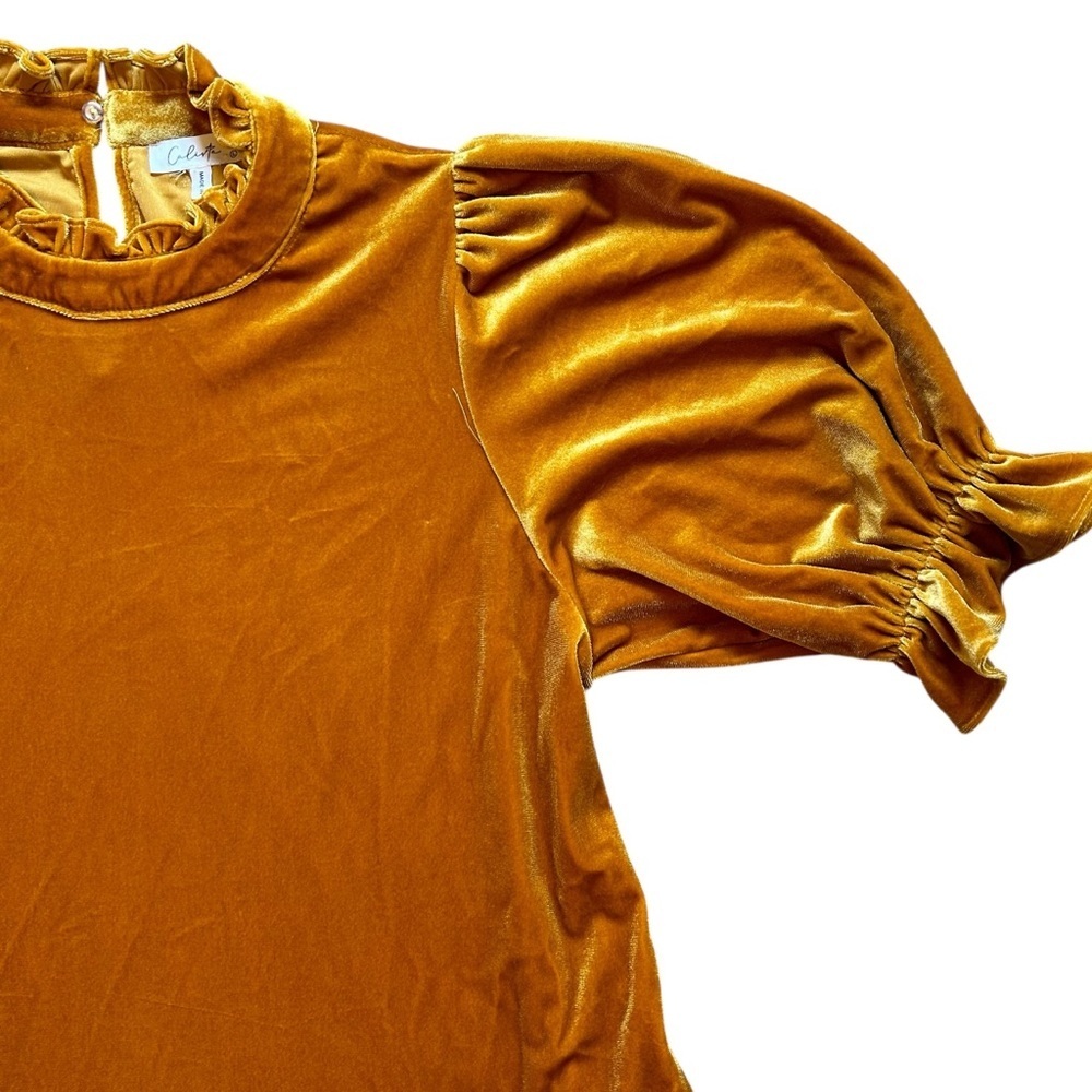 Calista | Rust Orange Velvet Dress - Picture 6 of 8